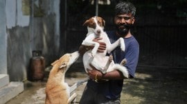 ‘Can I go now, Simba?’: Inside the life of a worker at a dog shelter in Delhi & his loyal companion