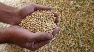 soyabean production