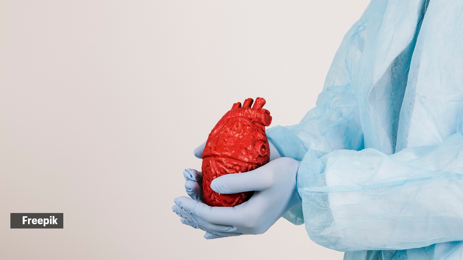 heart