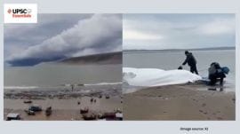 UPSC Essentials | Mains answer practice — GS 1 (Week 113)