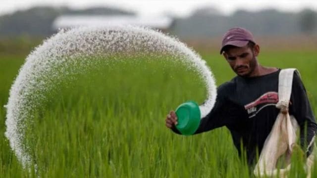 Farmers claimed that the official price of a 45-kg urea bag is Rs 275, but they are "forced to buy a bag at a price as high as three to four times”.