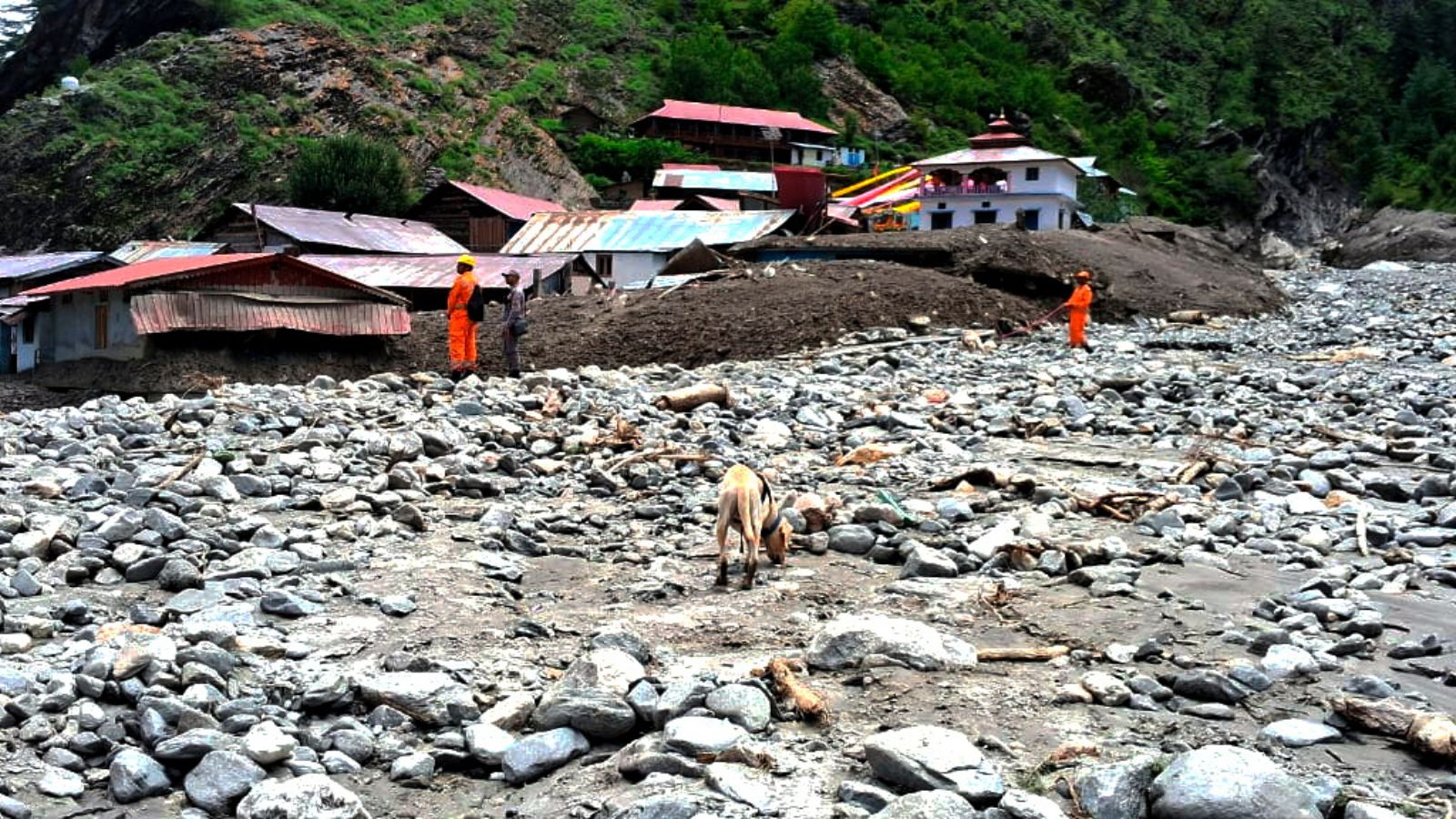 Uttarkashi Disaster: A Symptom of Unsustainable Development