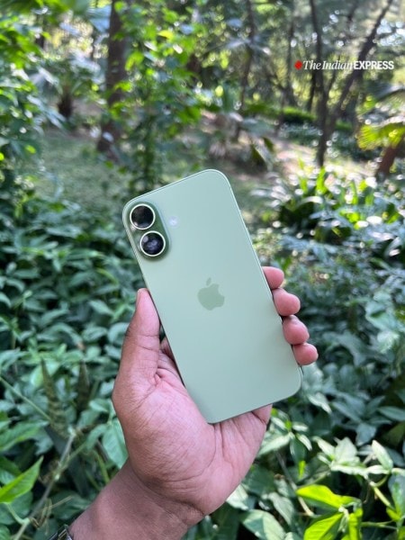 सेज-ग्रीन iPhone 17, हरे-भरे पृष्ठभूमि के खिलाफ अपने स्वच्छ, न्यूनतम डिजाइन और आकर्षक डुअल-कैमरा लेआउट का प्रदर्शन करता है। (छवि: बिजिन जोस/द इंडियन एक्सप्रेस)
