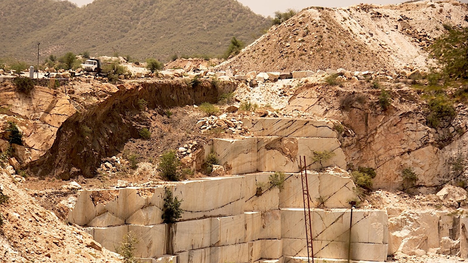 Sariska boundary: Ministry to invite public objections, reconsider alteration plan