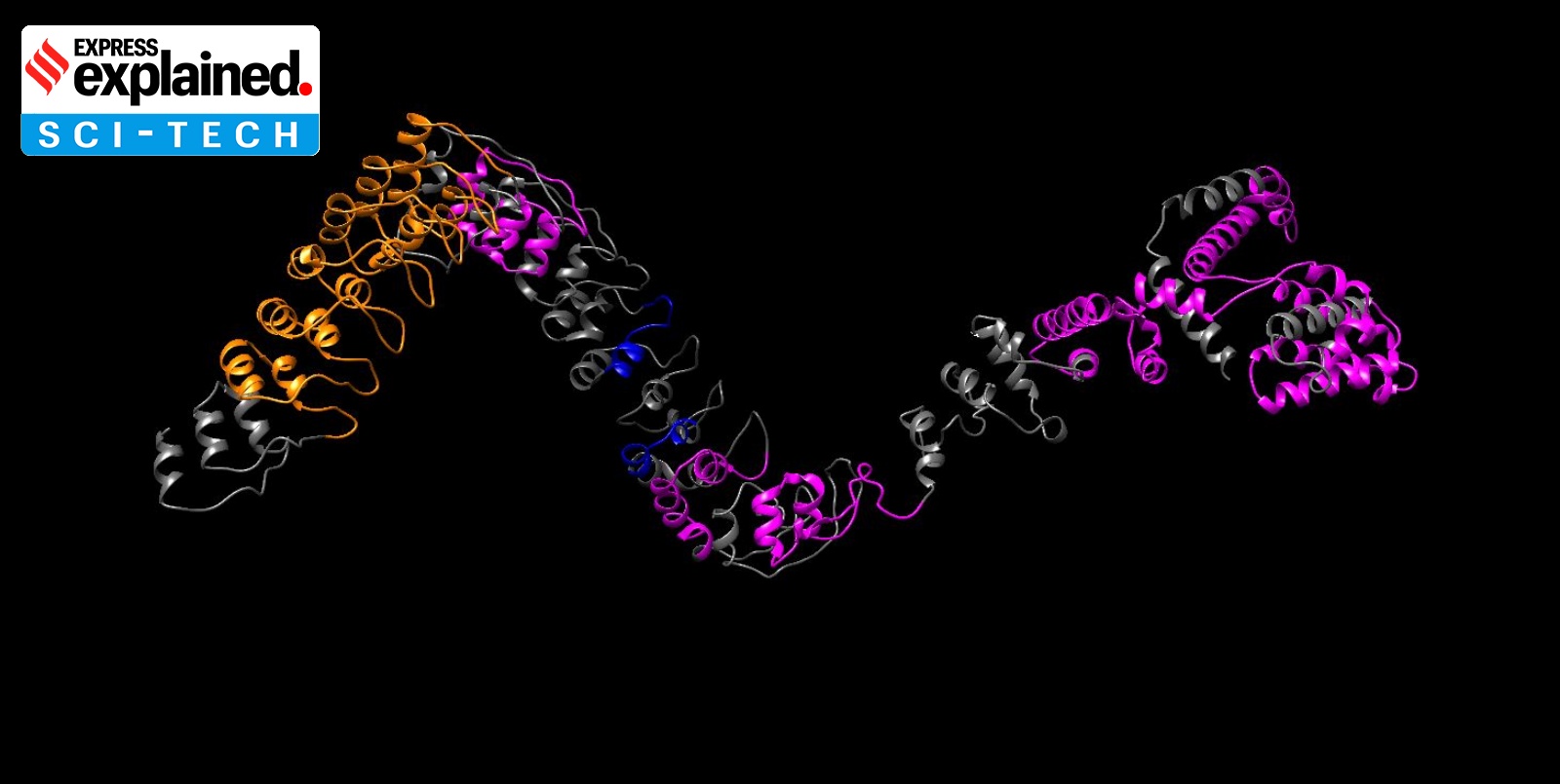 Scientists Uncover How Protein Language Models Make Predictions