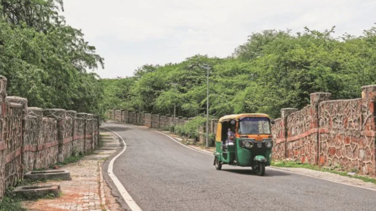 Delhi Land Dispute: Forest Department vs. Religious Group