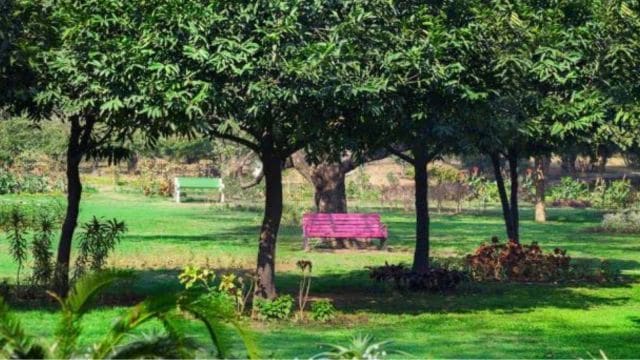 Buddha Jayanti Park