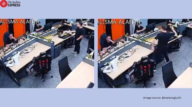 Turkish CEO throws flower pot at employee