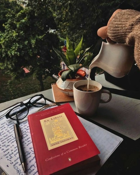 In the age of performative reading, books are no longer only consumed; they are staged. (Source: Pinterest) 