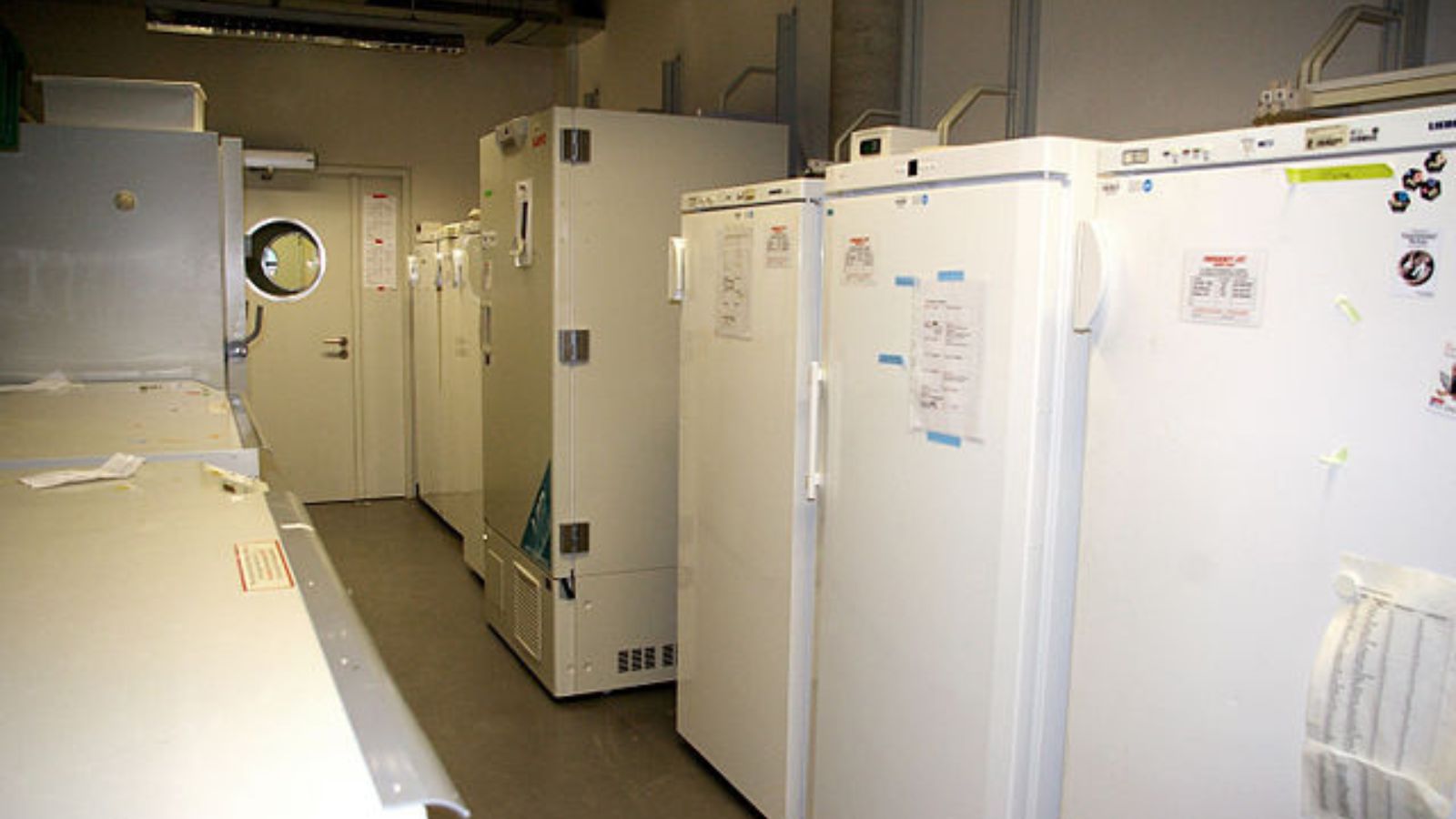 Woman Trapped in Freezer Rescued, Offers Company Share