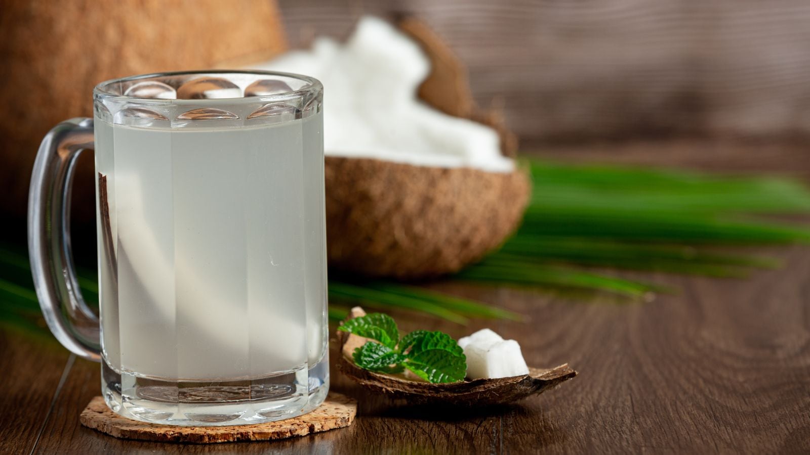 Dengue cases rising in Bengaluru, Mumbai, Kolkata: A dietician lays out a daily diet plan, what to eat and drink, what to avoid