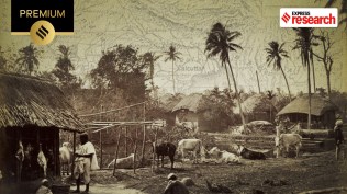 Bengal borderland (representational)