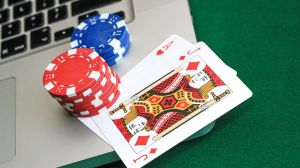 What petitioners are arguing against online gaming ban