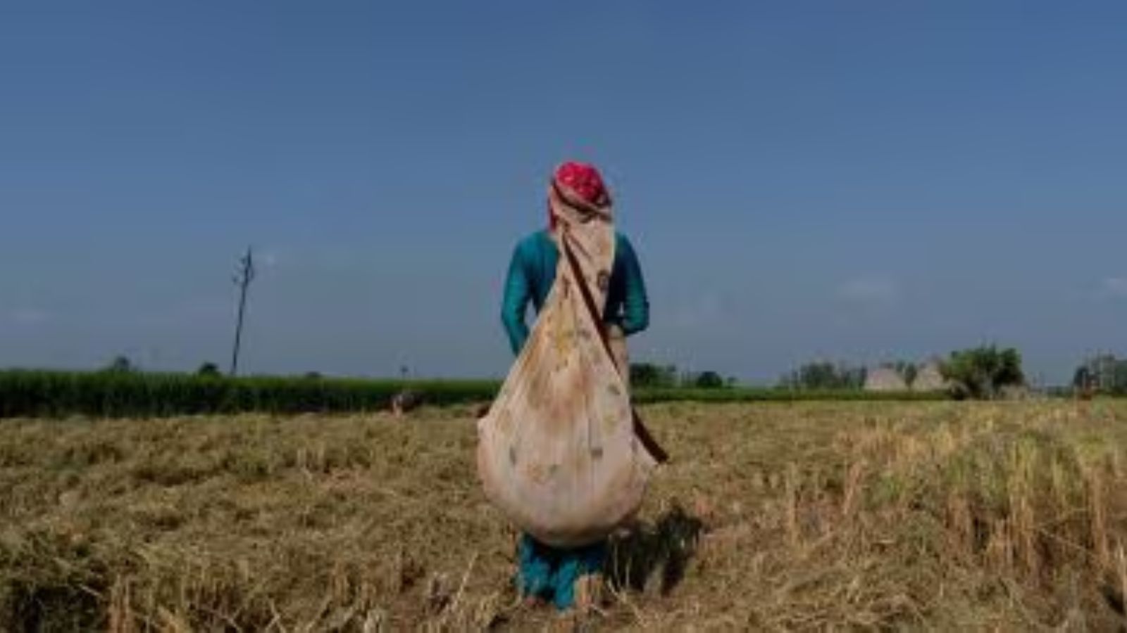 Couple Turns Paddy Stubble into Success, Fights Pollution