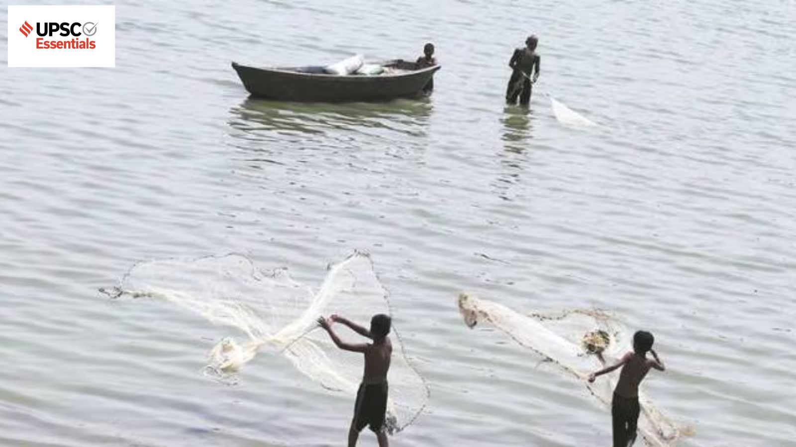 India's New Fishing Framework and Income Tax Bill