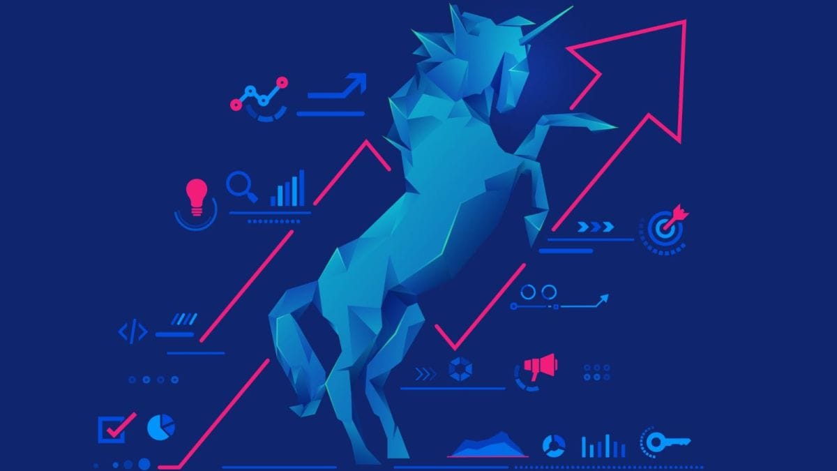 India’s top 10 most valuable unicorns in 2025