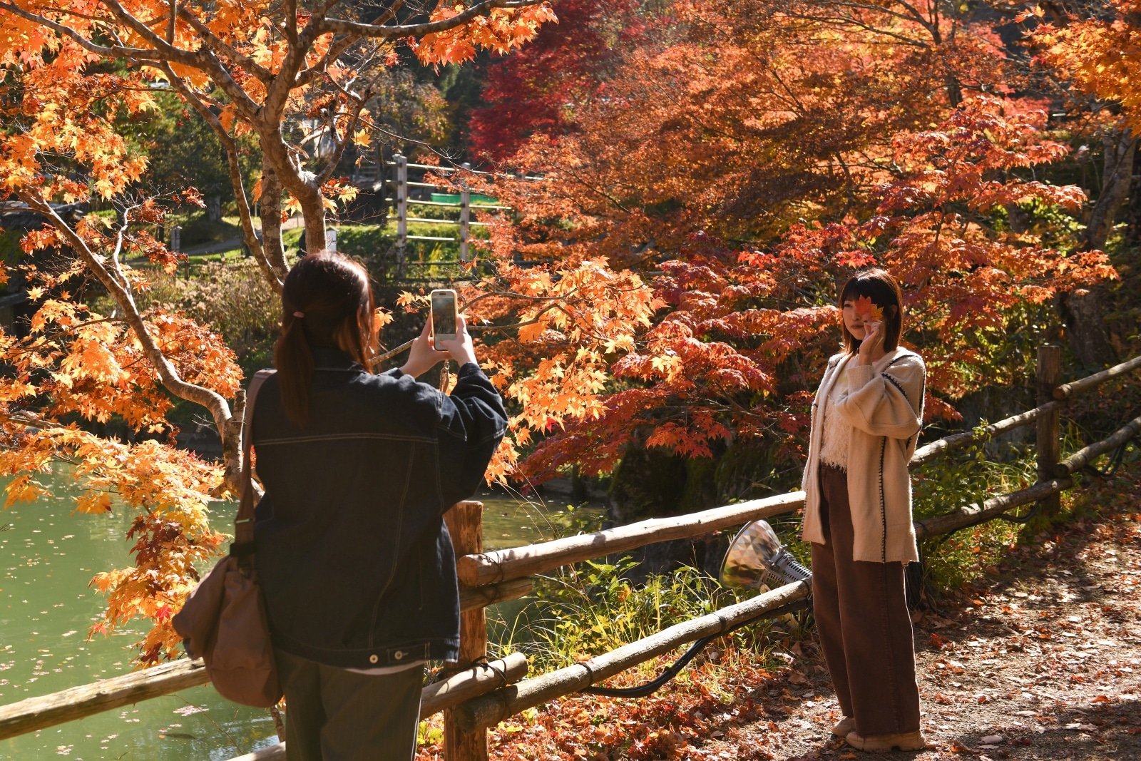 japan