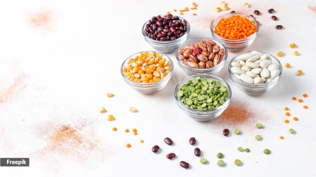 Navratri, navratri fasting foods