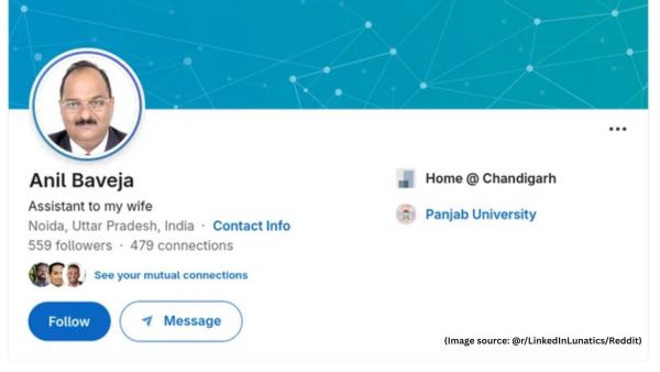 In August 2023, the Noida man chose to step back from corporate life and step into a more personal chapter (Image source: @r/LinkedInLunatics/Reddit)
