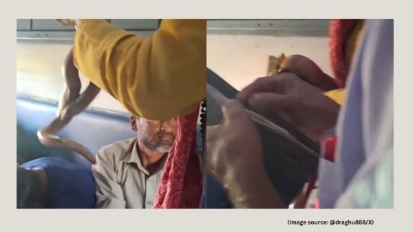 The video captures the man in question parading what appears to be a non-venomous snake, possibly a rat snake, just inches away from passengers (Image source: @draghu888/X)