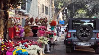 Mohali vendors