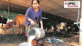 Non-farm primary activities