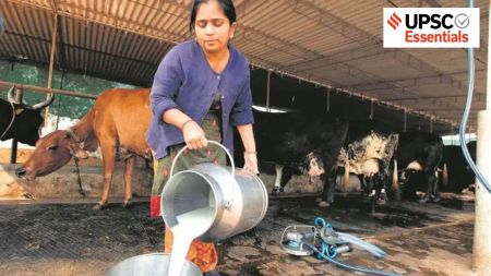 Non-farm primary activities