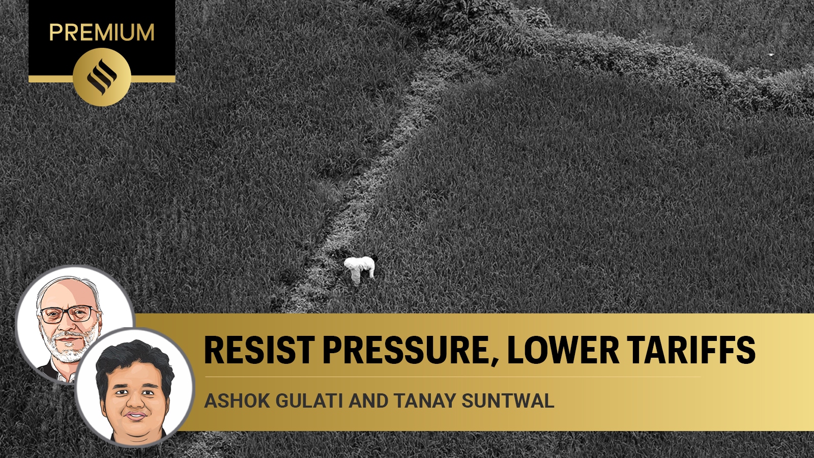Rationalise tariffs, independent of US pressure, and raise productivity Rationalise tariffs, independent of US pressure, and raise productivity