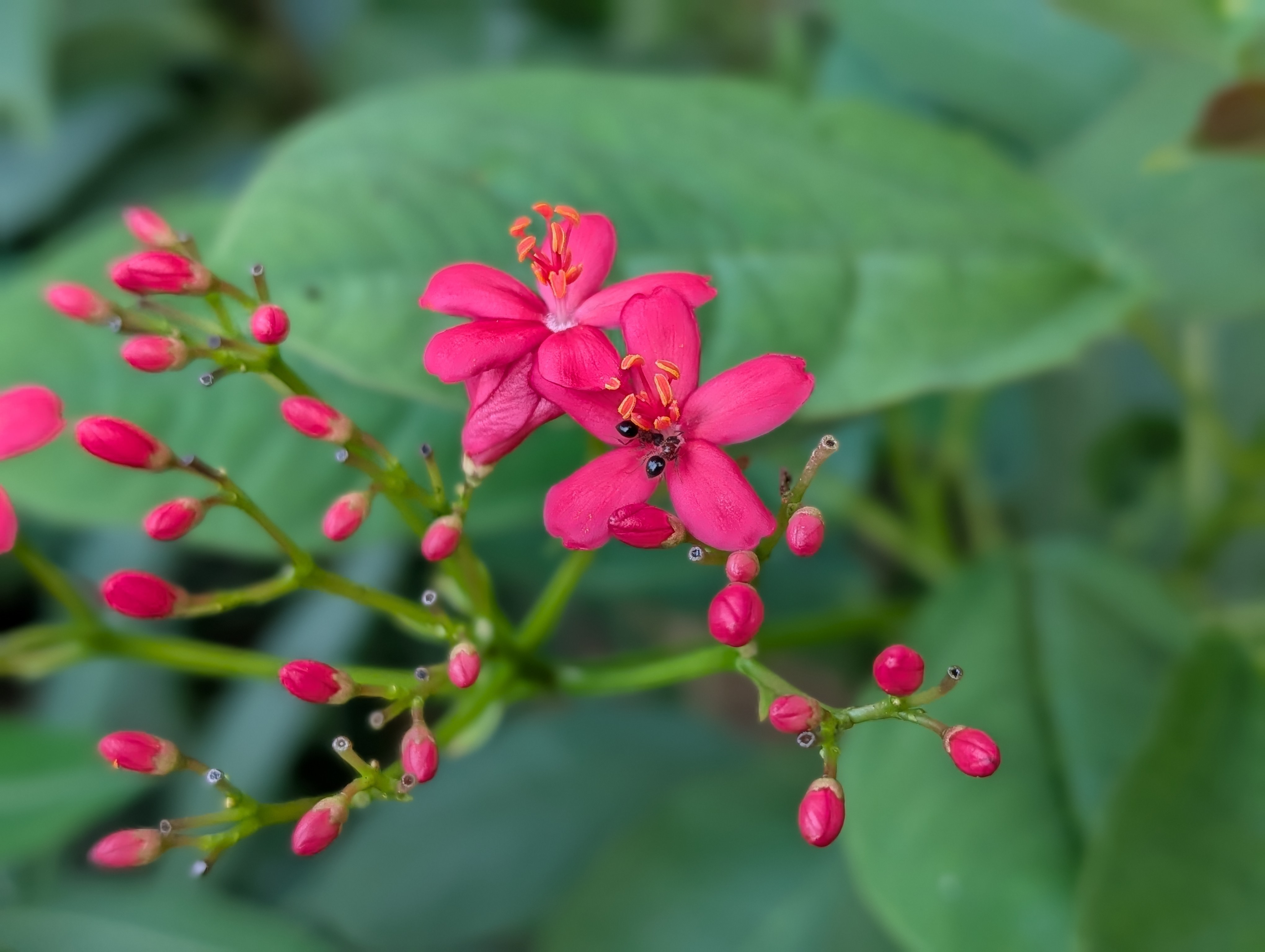 (Image: Anuj Bhatia/ The Indian Express)