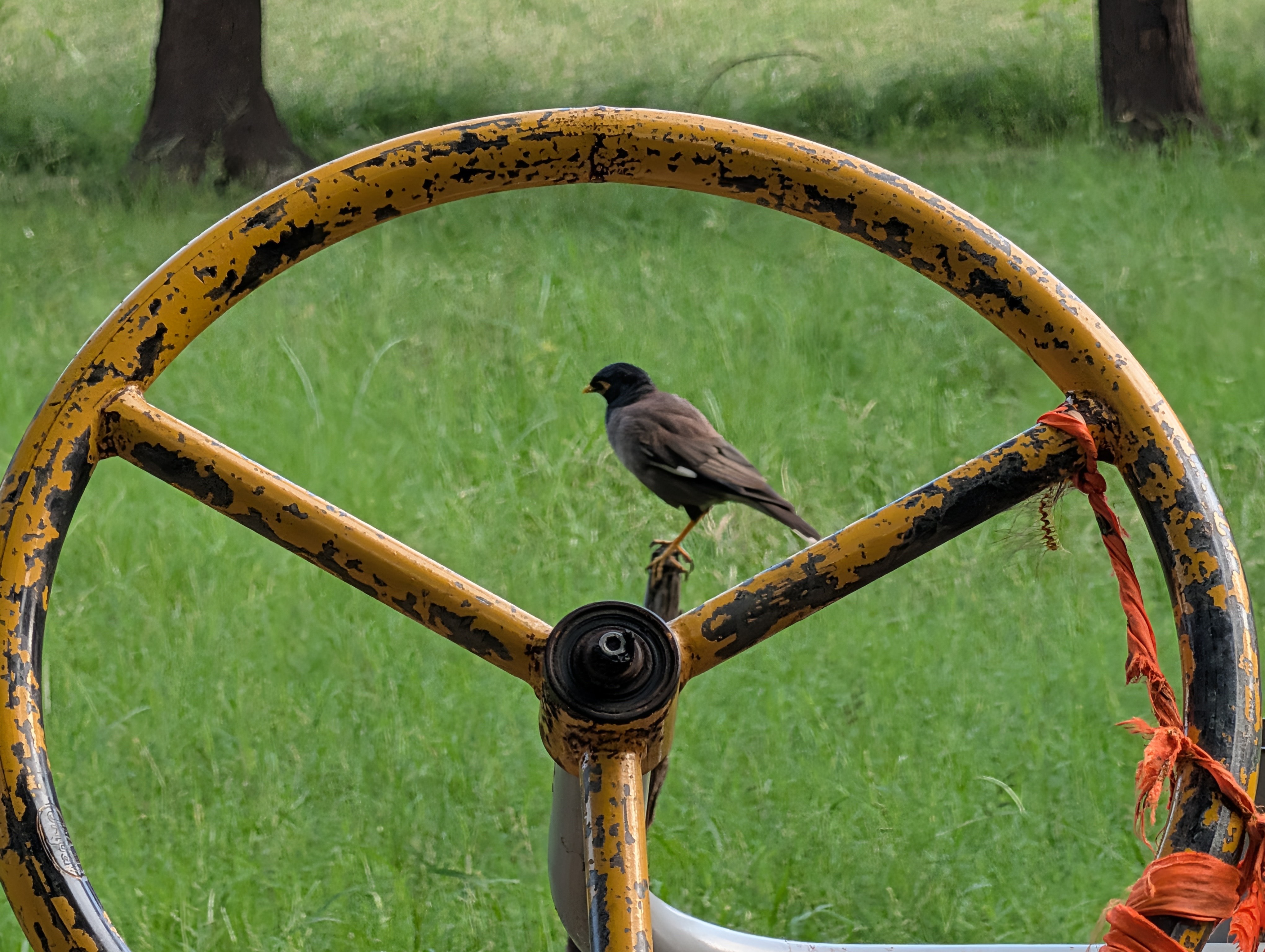 (Image: Anuj Bhatia/ The Indian Express)