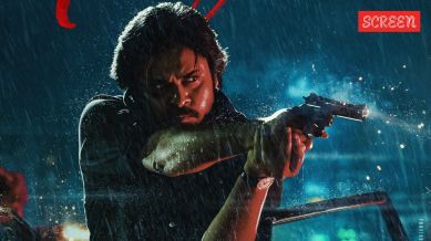 They Call Him OG box office collection