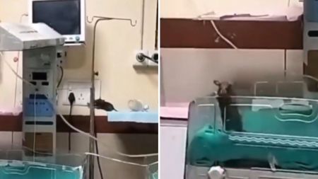 The infant was one of two newborns who died in a rodent attack.