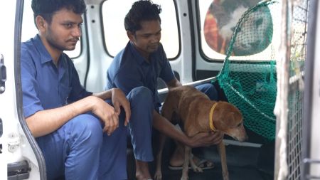 From that small area, Karma Foundation in Aundh, Pune, has grown into an ably equipped hospital with an operation theatre, ventilator, pathology lab, X-ray unit, and a dedicated team of doctors, surgeons, and animal handlers.