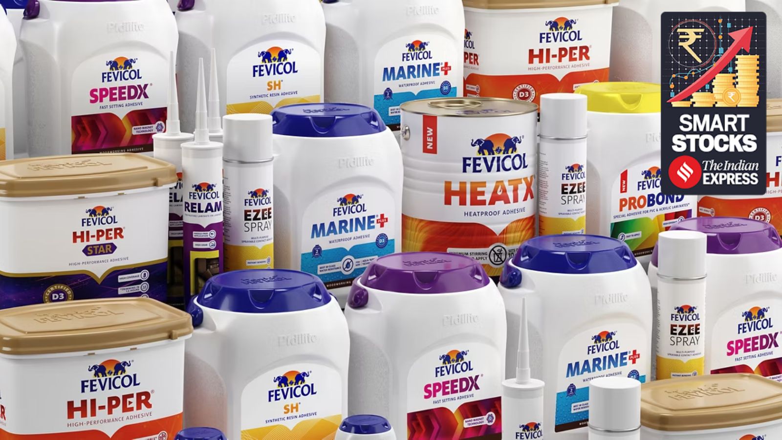 Fevicol maker Pidilite delivers double-digit growth, but is 70x earnings justified?