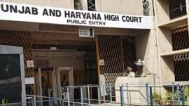 Punjab Haryana High Court (File)