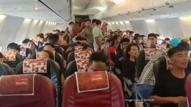 The viral video shows passengers fanning themselves with the safety cards (Image source: @ANI/X)