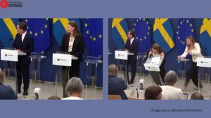 Swedish Health Minister Elisabet Lann collapses