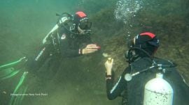 Russian diver stages underwater proposal in Black Sea