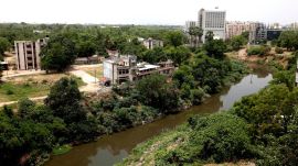 Gujarat rivers overflowing; Vishwamitri river in Vadodara inches towards 20-ft mark, but civic body allays flood threat