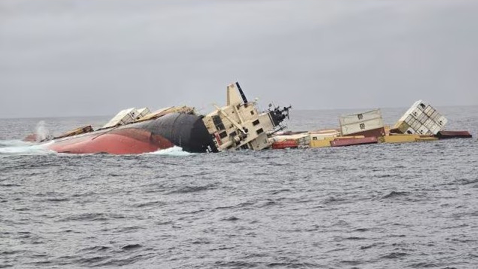 Sinking of MSC ELSA 3 Caused Ecological Damage in Arabian Sea