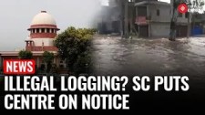 SC Issues Notice to Centre on Illegal Tree Felling in Himachal, Uttarakhand, Punjab