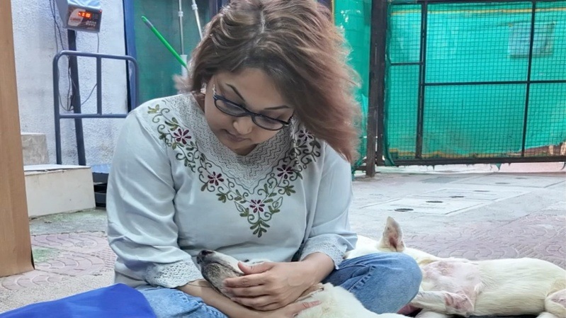 Karma Foundation in Aundh, Pune, has grown into an ably equipped hospital with an operation theatre, ventilator, pathology lab, X-ray unit, and a dedicated team of doctors, surgeons, and animal handlers.