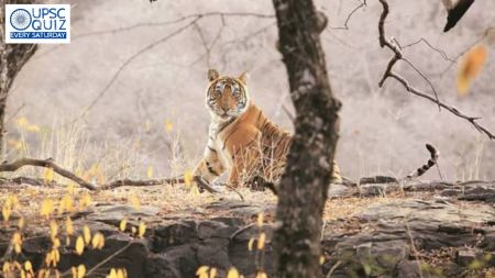 UPSC Weekly Current Affairs Quiz | September 07 to September 13, 2025