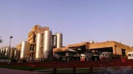amul dairy, amul dairy elections, gujarat