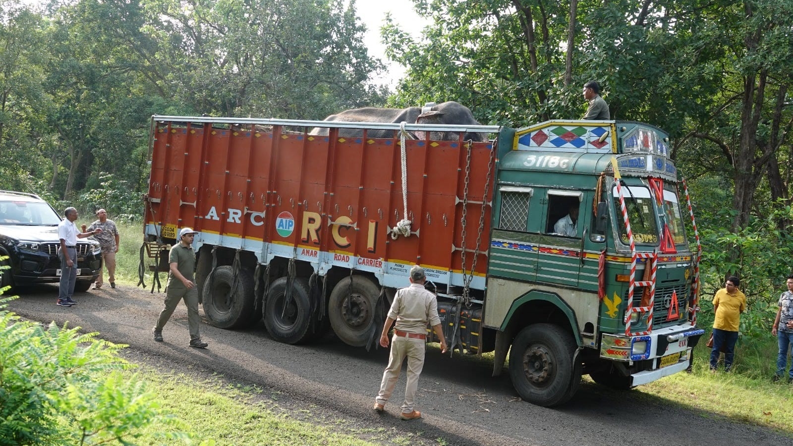 Madhya Pradesh Ends Captive Elephant Practice After Court Order