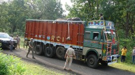 From servitude to freedom: Madhya Pradesh ends captive elephant practice after High Court push