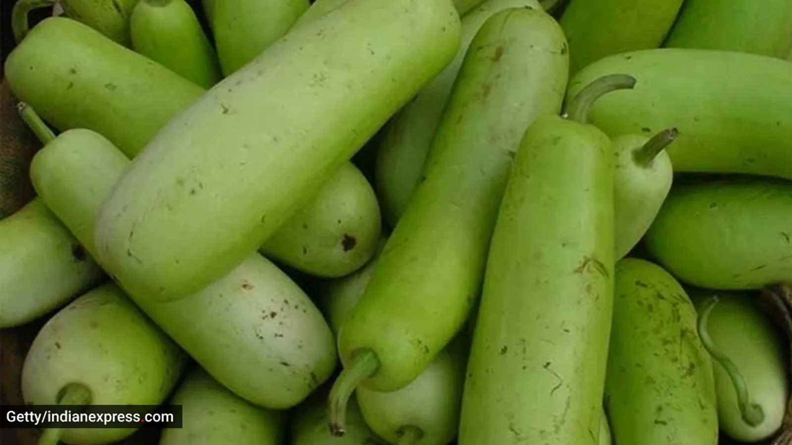 bottle gourd