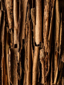 The many health benefits of adding cinnamon to your diet