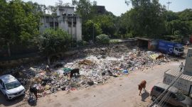 Southeast Delhi
