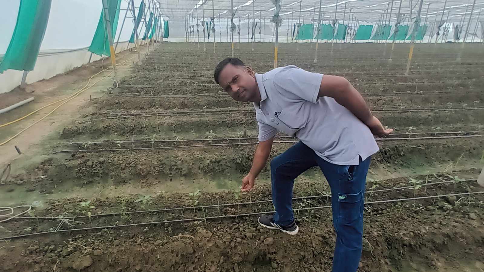 Hisar Farmer's Transition to Profitable Horticulture